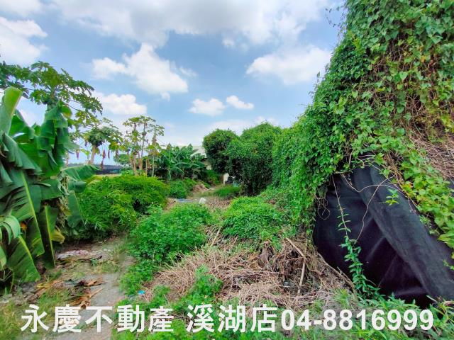 附近街景圖