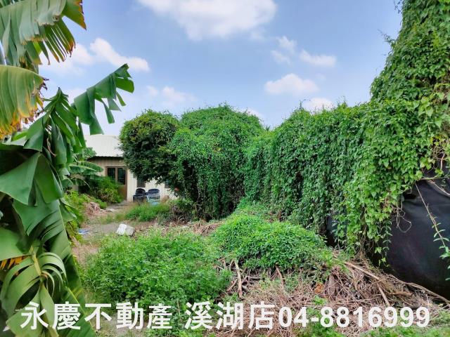 附近街景圖