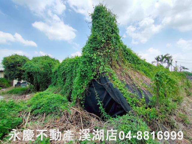 附近街景圖