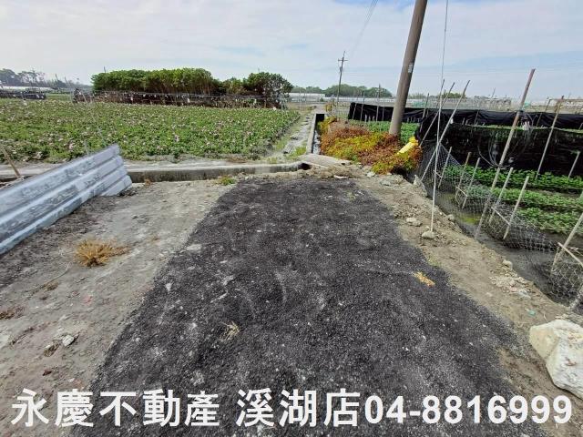永靖農地-3
