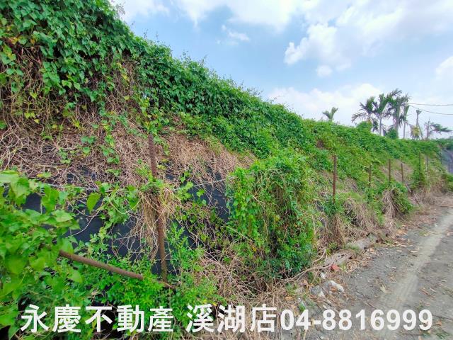 附近街景圖