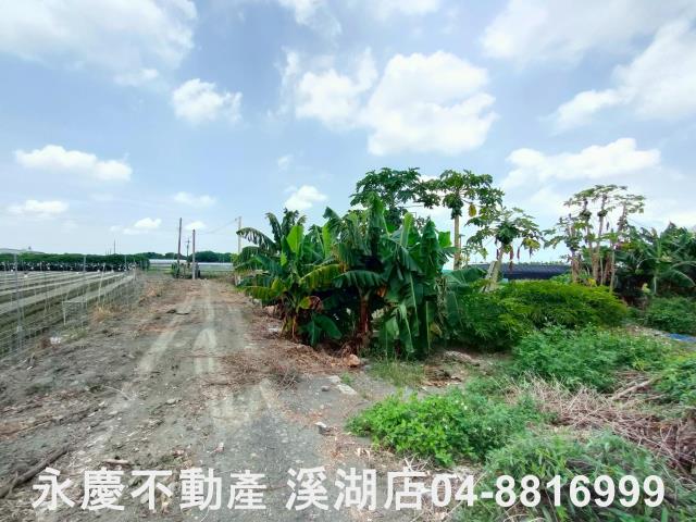 附近街景圖