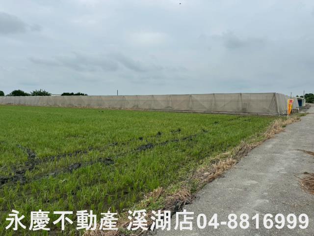 大城農地-0