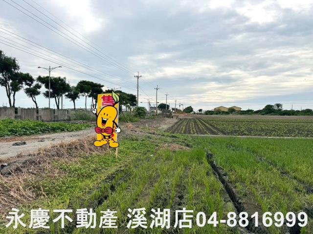 大城農地-1