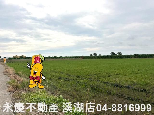 大城農地-2