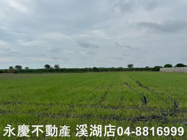大城農地-3
