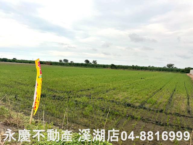 大城農地-4