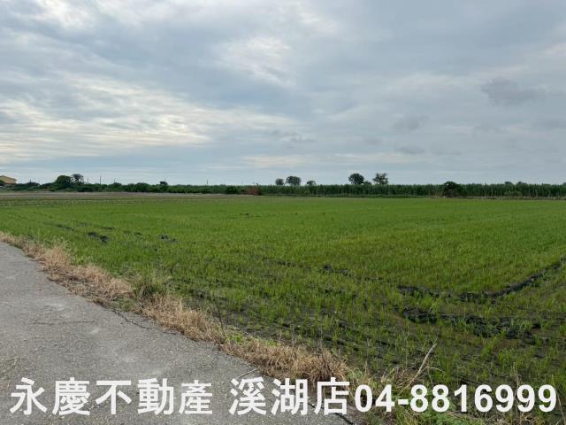 大城農地-5