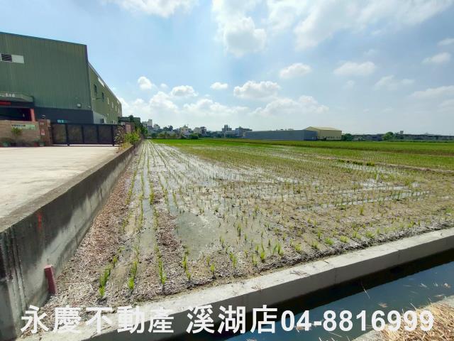 花壇農地-2