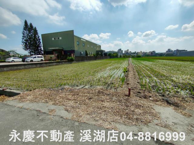 花壇農地-6
