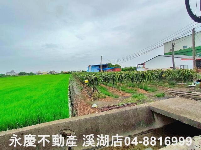 二林農地-3