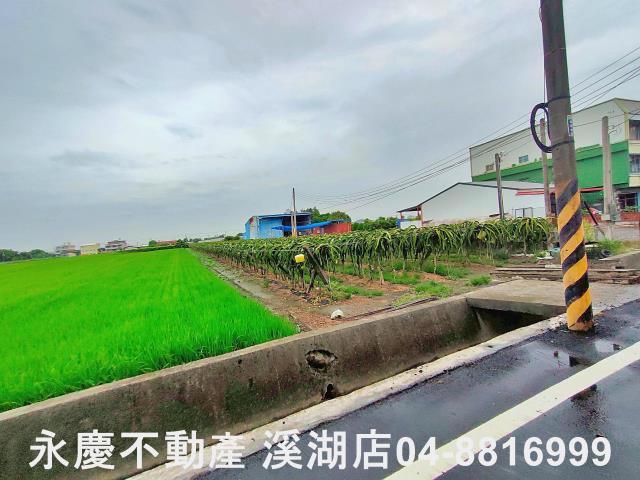 二林農地-5
