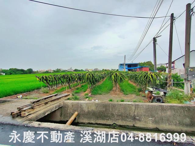 二林農地-6