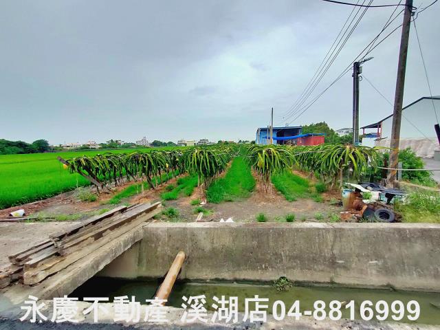 二林農地-7