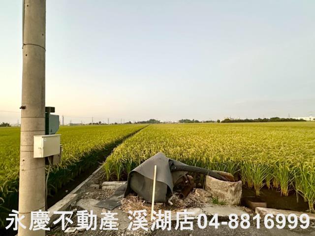 彰化農地-1