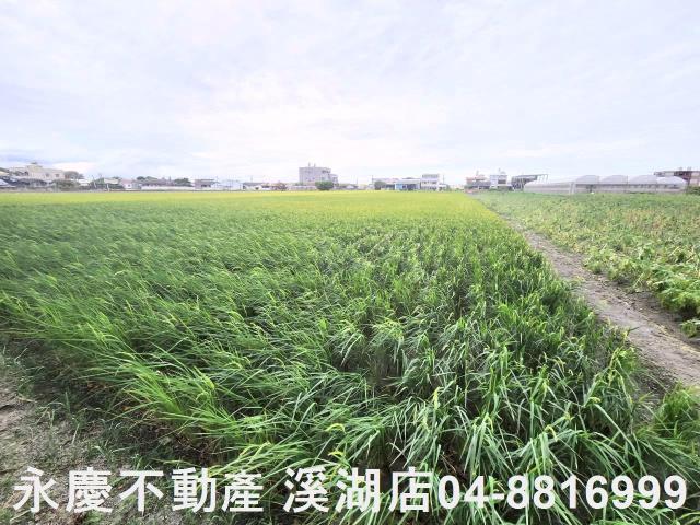 彰化埤頭農地-0