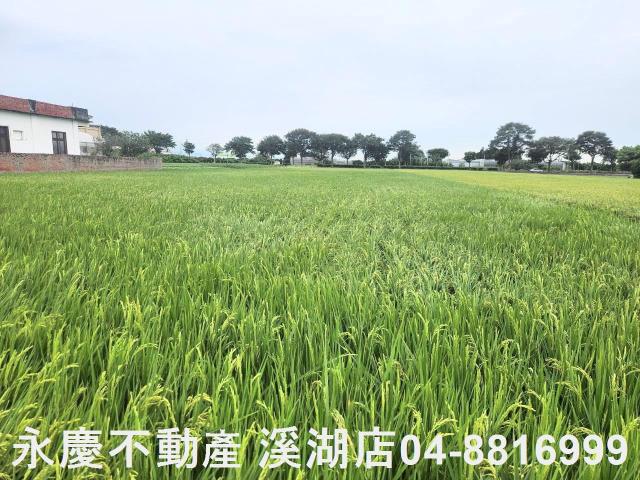 彰化埤頭農地-2