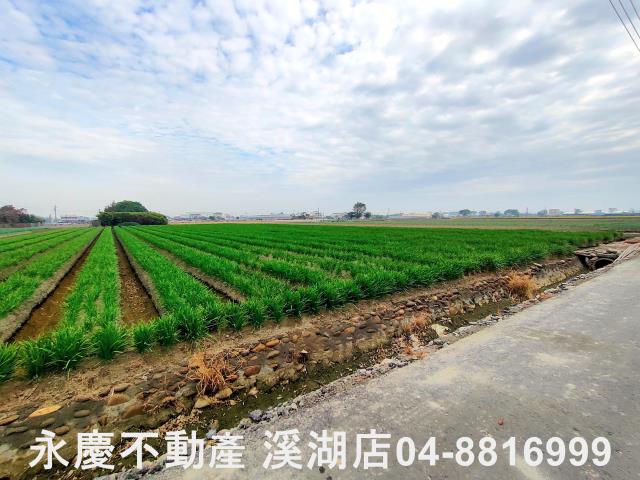 埔鹽農地-6