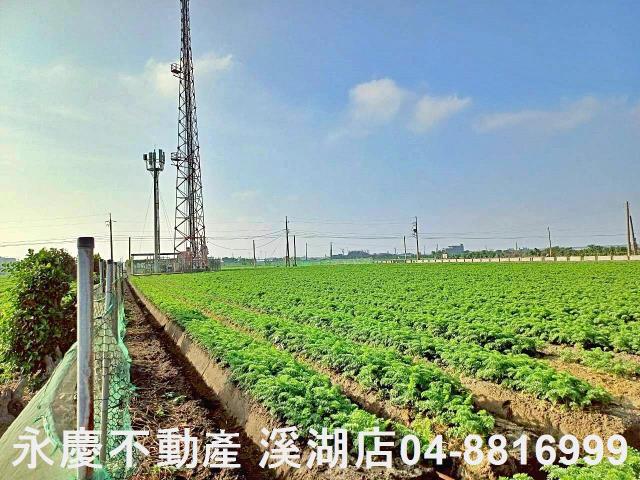 芳苑農地-2
