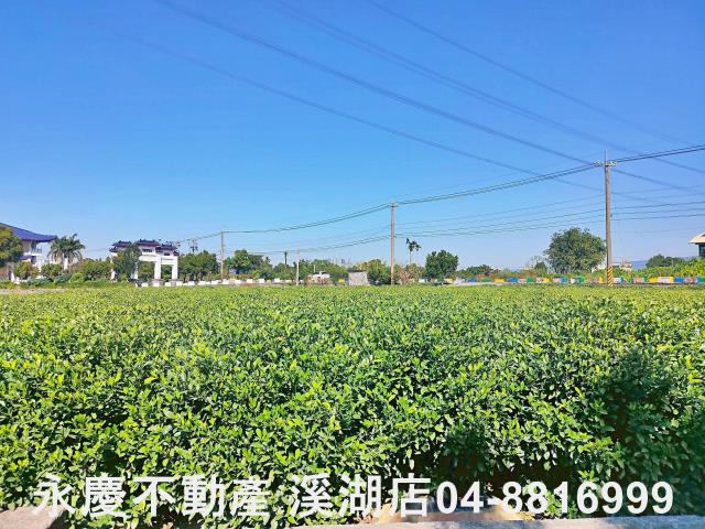 彰化田中農地-4