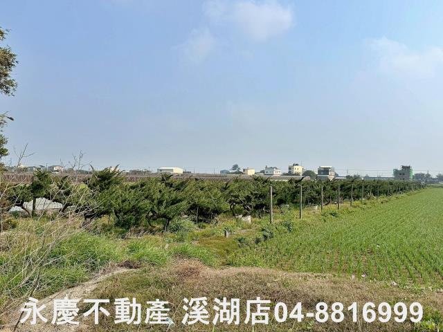 二林農地-5