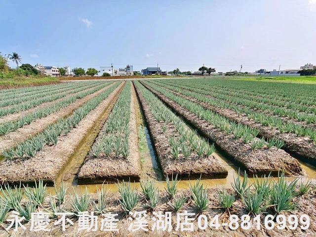 彰化埔鹽農地-0