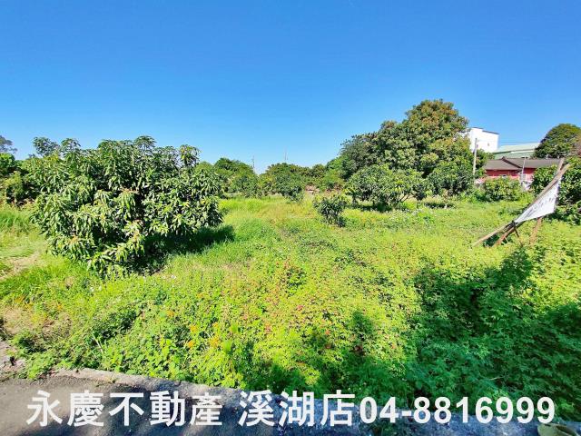 社頭農地-1