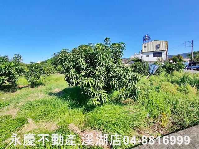 社頭農地-5