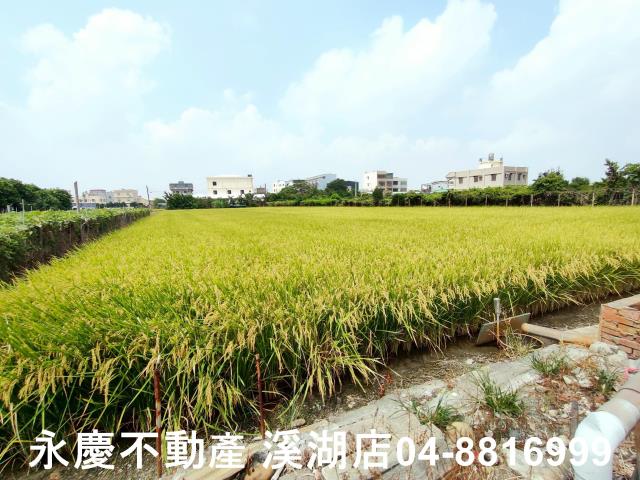 彰化溪湖農地-8