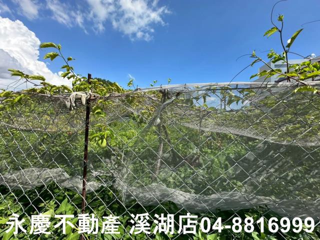 彰化埔心農地-9