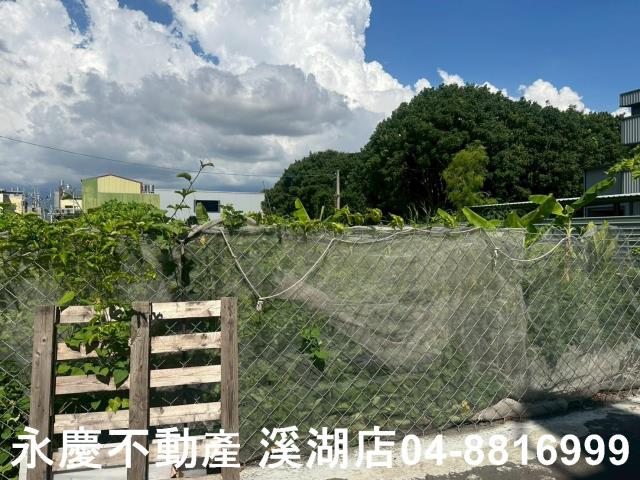 彰化埔心農地-11