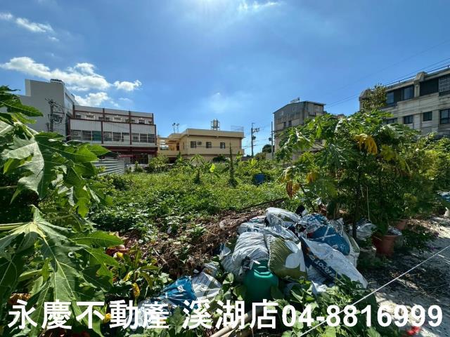 彰化埔心農地-8