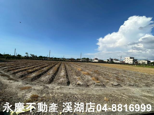 彰化田尾農地-6