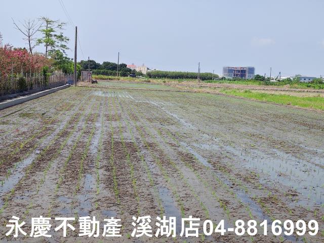 彰化北斗農地-0