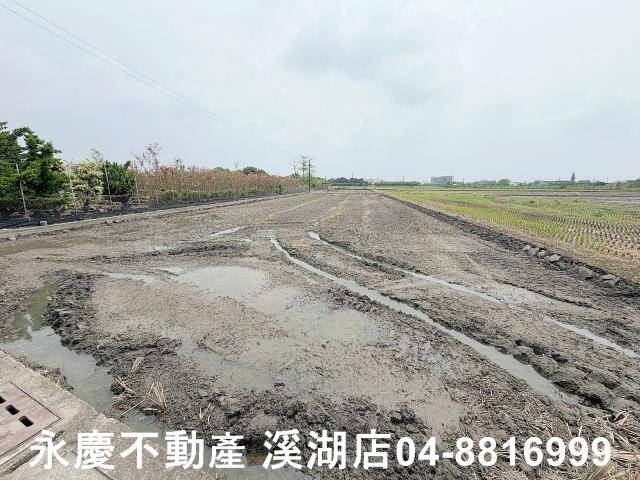 彰化北斗農地-5