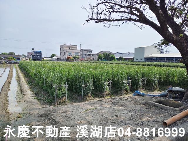 彰化農地-0