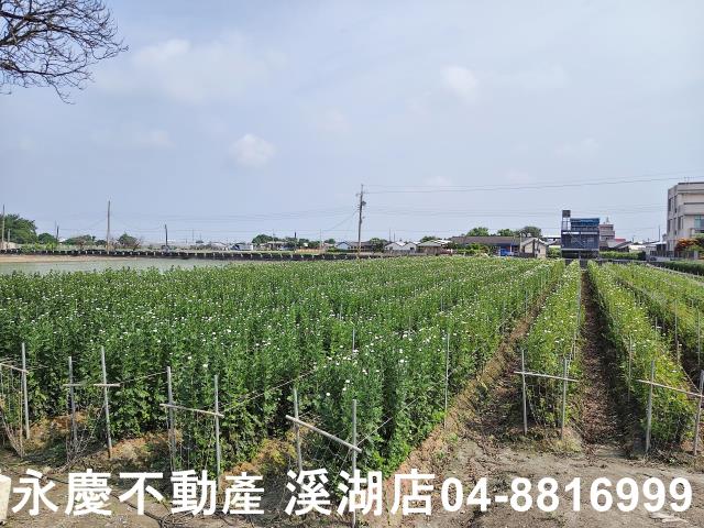 彰化農地-2