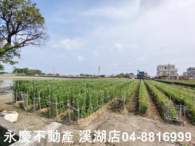 彰化農地-3