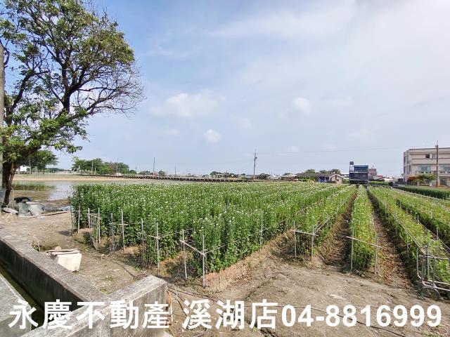彰化農地-4