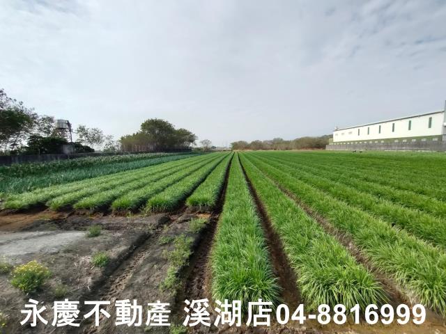 彰化農地-0