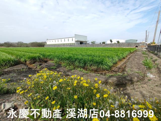 彰化農地-2