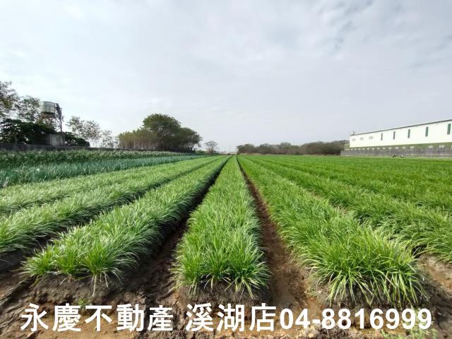 彰化農地-3