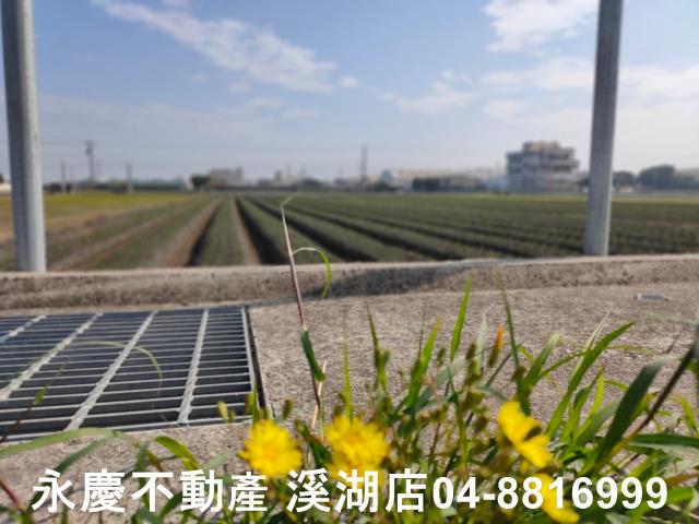 彰化農地-0
