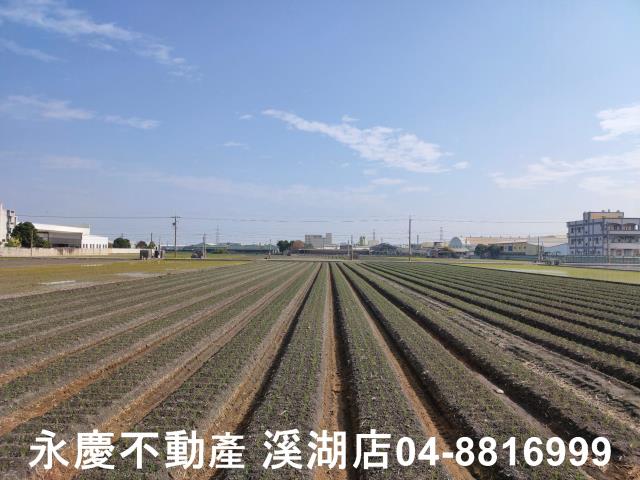 彰化農地-2