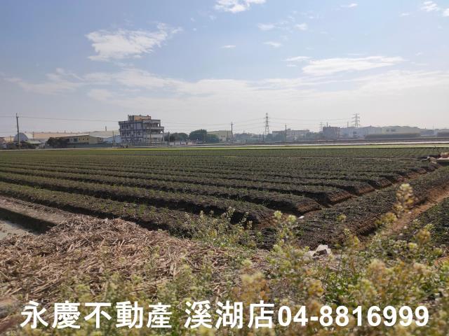 彰化農地-4