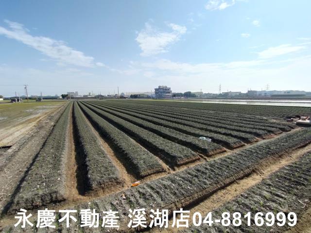 彰化農地-7