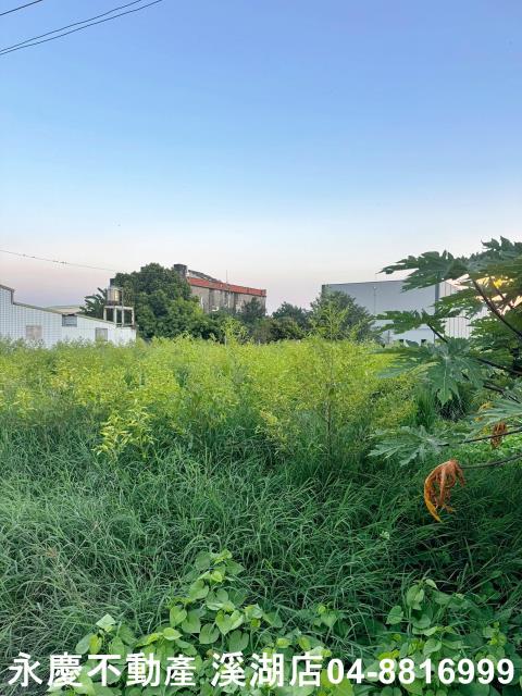 彰化埔鹽農地-2